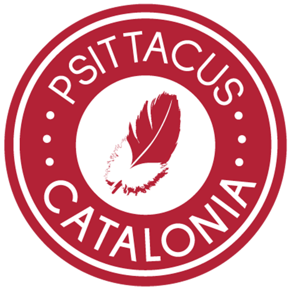 Psittacus Catalonia