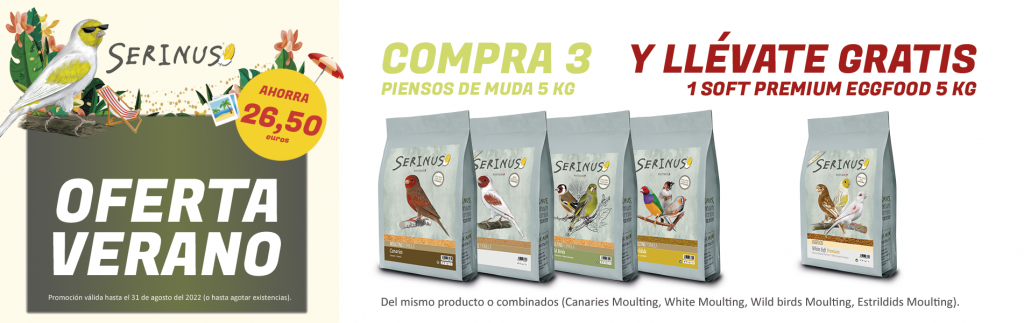 Oferta verano serinus